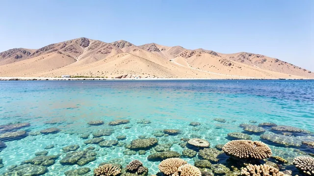 El Gouna and the Egyptian Red Sea