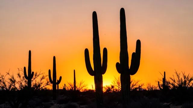 Tucson and Southern Arizona, USA
