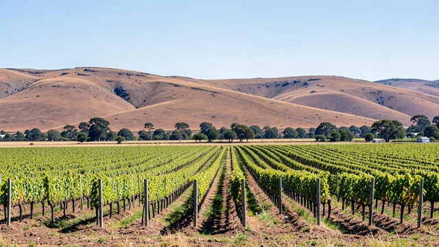 Marlborough and Nelson, New Zealand