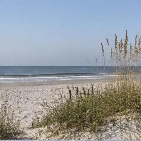 Amelia Island