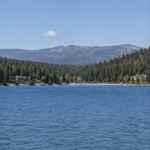 Whitefish